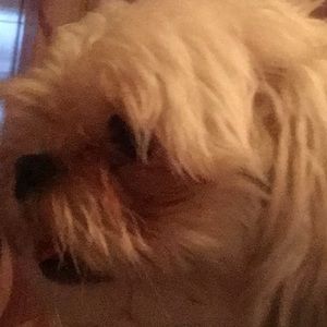 Meet your Posher, Nancy